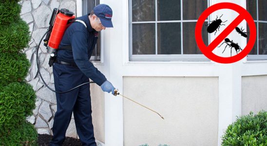 Ulus Bit İlaçlama böcek ilaçlama ve haşere kontrolü — ilaclama-tr.com